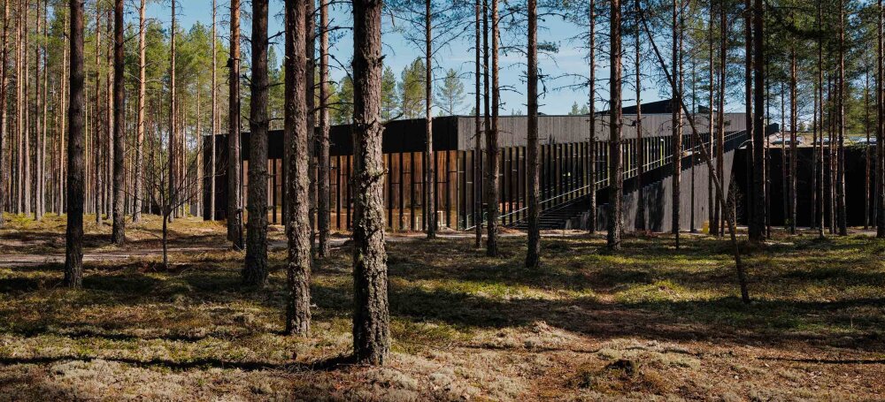 En bygning i mørkt treverk og store vinduer som ligger blant høye, slanke furutrær.