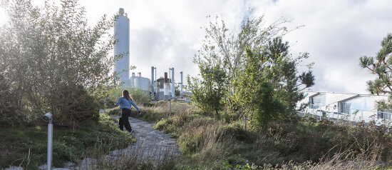 Kvinne går oppover en bakke omringet av rik vegetasjon. Piper fra industri skimtes i bakgrunnen.