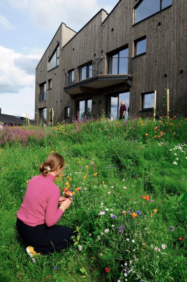 Kvinne plukker blomster foran klimavennlige boliger.