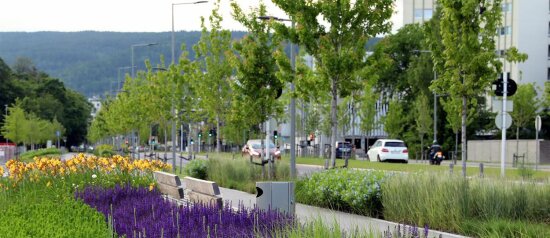 Bjørnstjerne Bjørnsons gate i Drammen