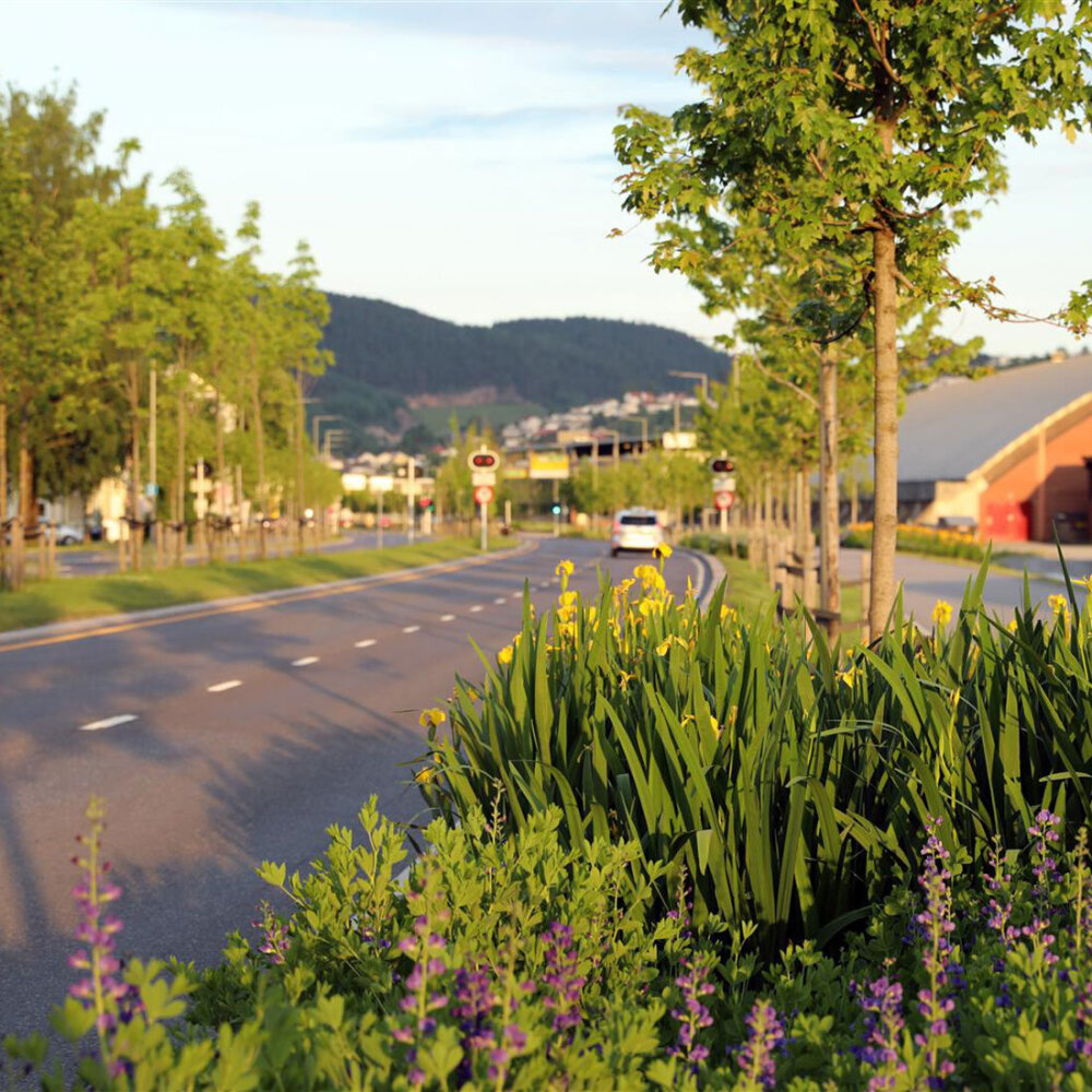 Bjørnstjerne Bjørnsons gate i Drammen