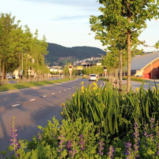 Bjørnstjerne Bjørnsons gate i Drammen