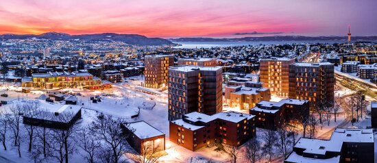 Oversiktbilde av Moholt 50I50