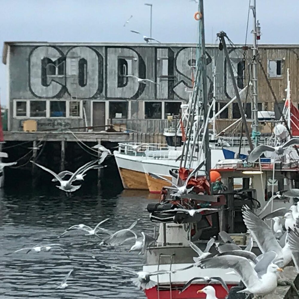 Vardø
