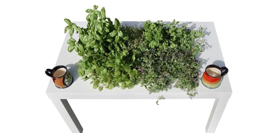 En blomsterkasse meg grønne planter stående på et hvitt bord