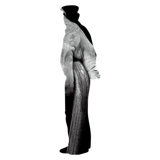 Silhouette of an older man