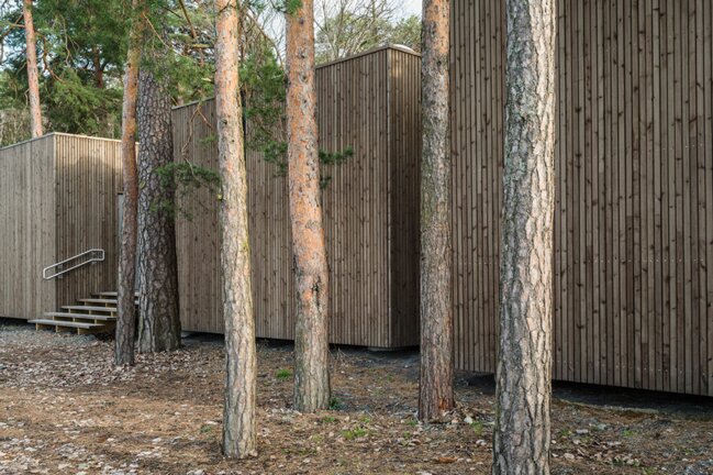The exterior blends in with the surrounding pine trees
