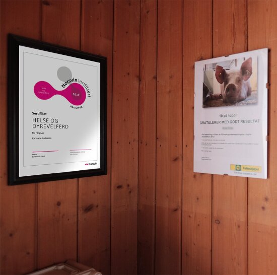 Kursbevis og diplomer på pauseromsvegger i furupanel.