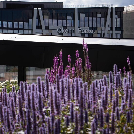 DARK Arkitekter