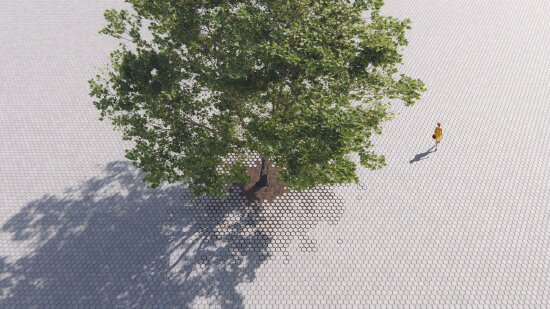 Dronebilde av uteområde dekket av heller med et stort tre i midten. Foto