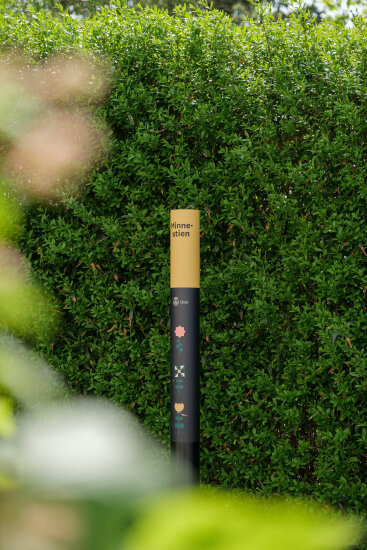 Veiviserstole foran en grønnbladet hekk. Foto