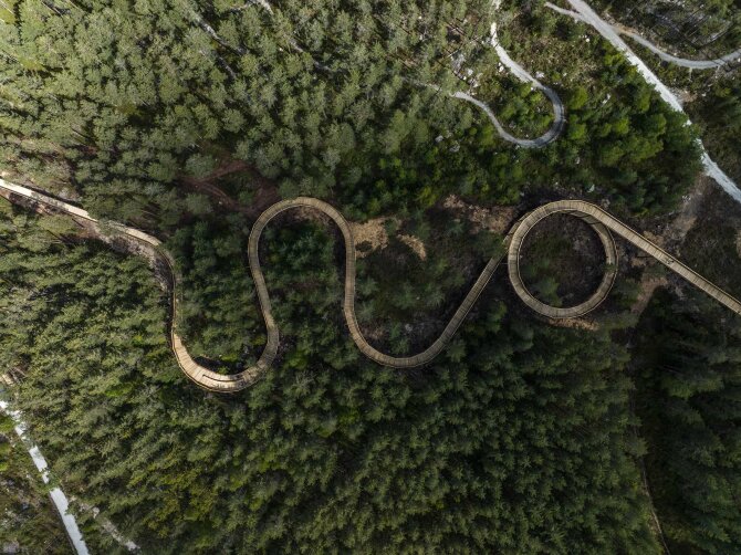 Skog med gangvei gjennom, sett overfra. Dronefoto