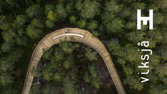 Gangvei i tre med skog rundt. Dronefoto