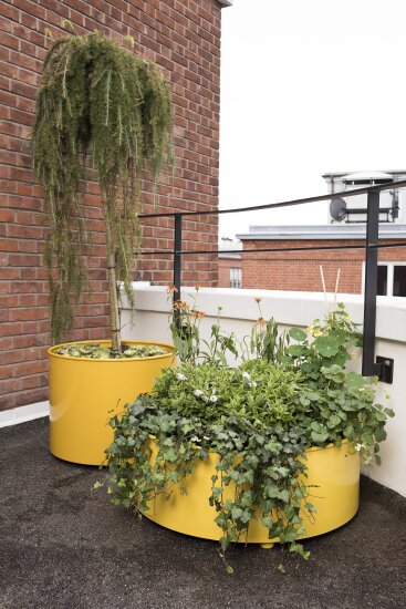 April GO blomsterkasser.