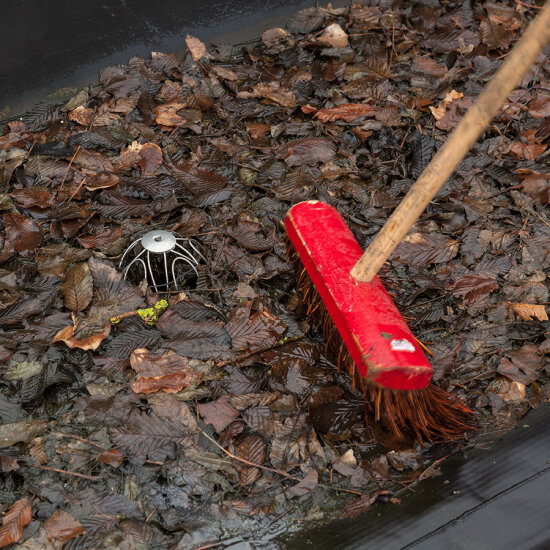 En rød kost på et tykt lag av vått, brunt løv.