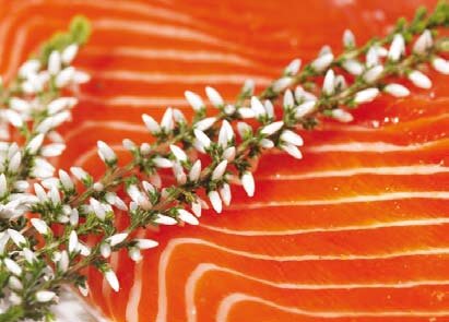 Ørretfilet med hvite og grønne urter